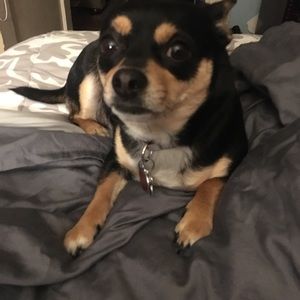 Meet your Posher, Jason